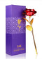 24K Artificial Gold Dipped  Rose Red